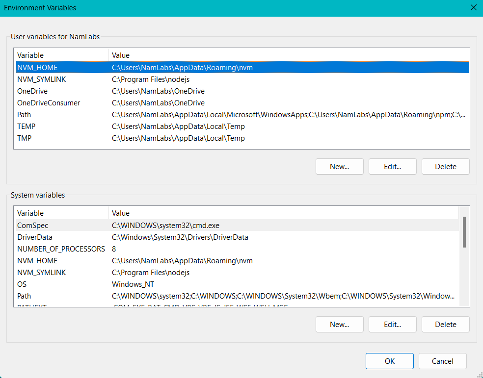 Set Environment Variable Python Code