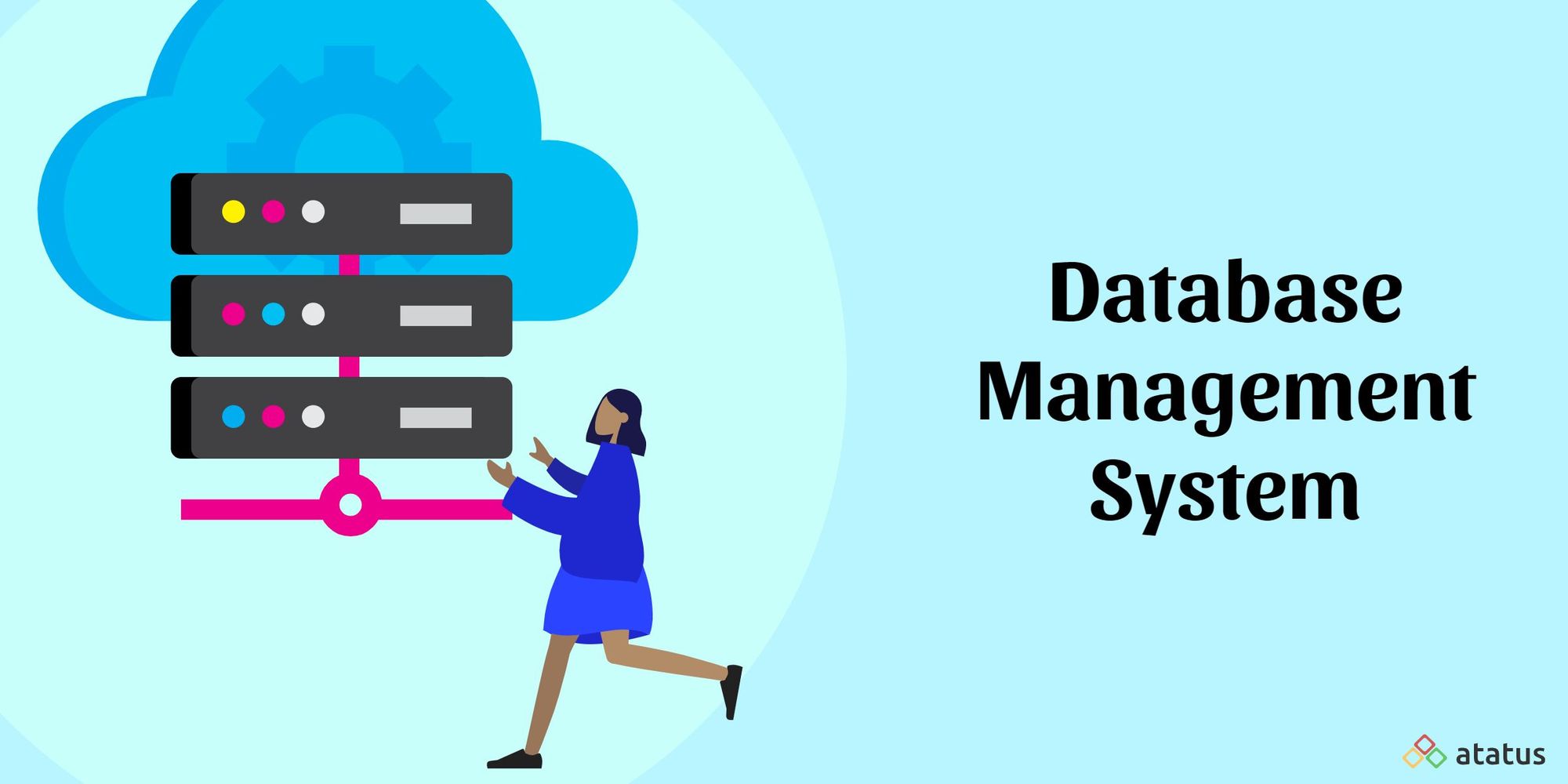 Database Management System Definition Benefits More