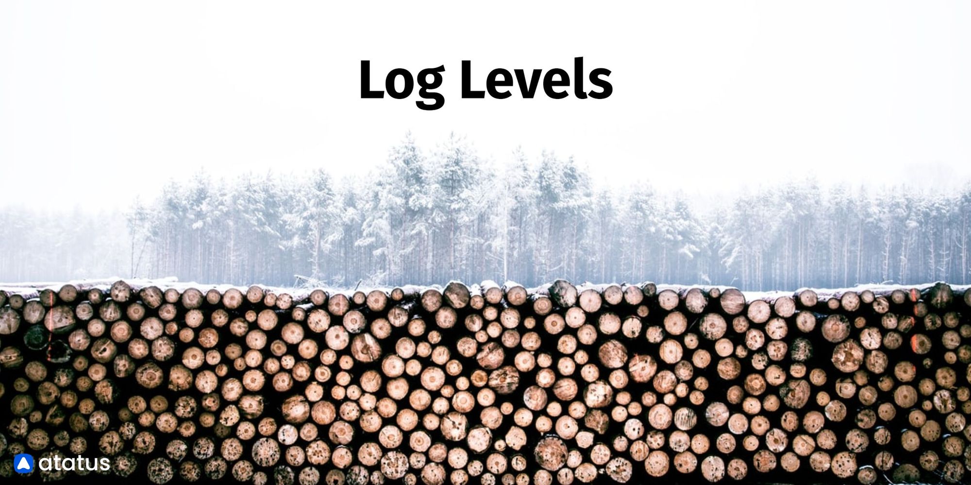 Log Levels Definition History Log Levels Explained More