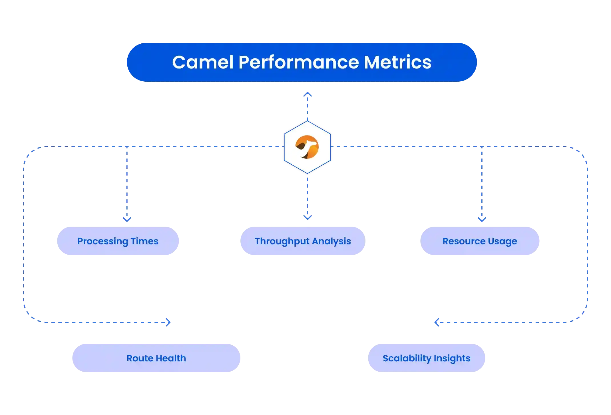 Camel Performance Metrics